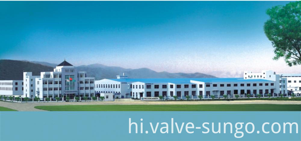 Duplex Stainless Steel Globe Valve Duplex Stainless Steel Globe Valve